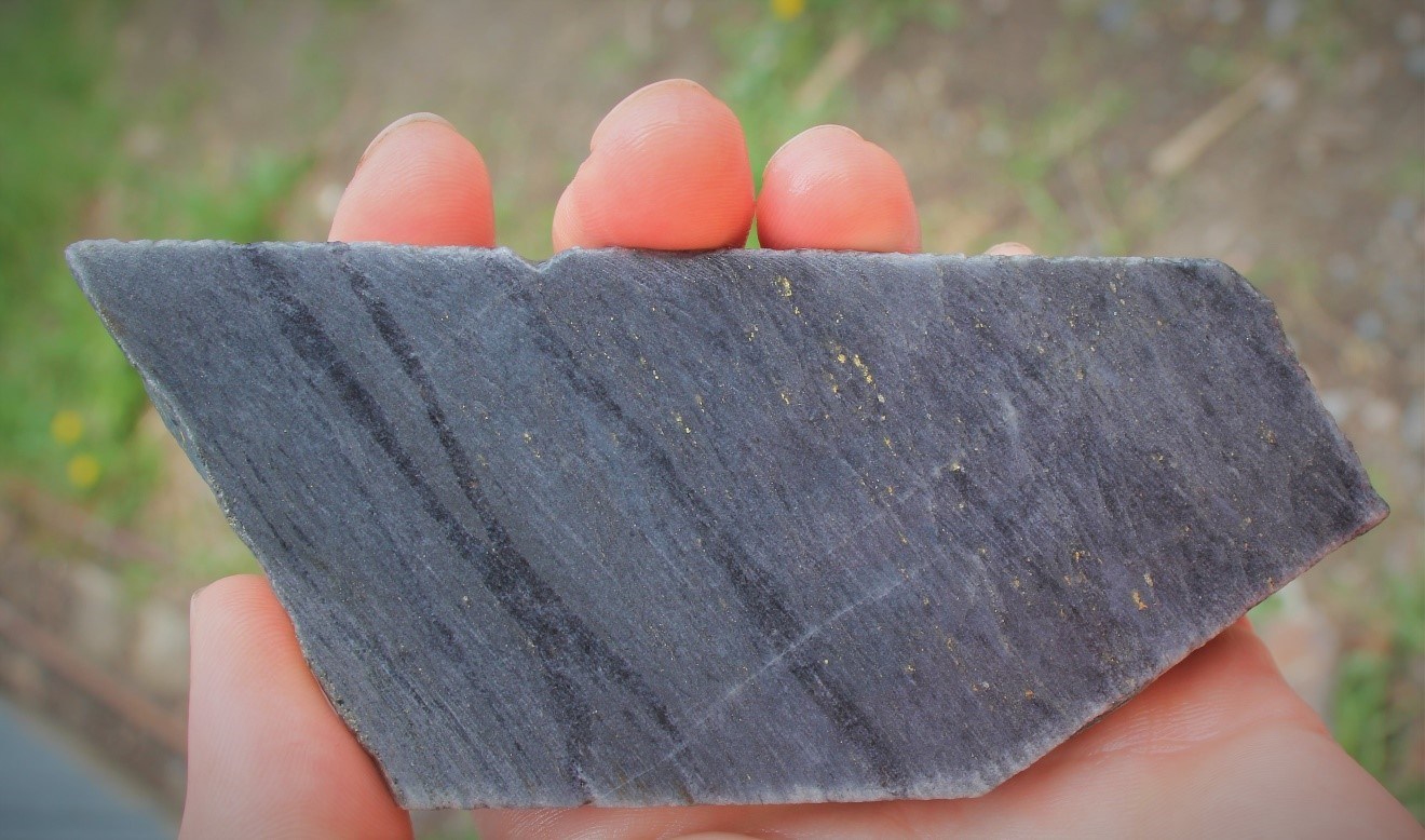 Figure 5: Image of cut drill core from BR-137 showing disseminated gold. (CNW Group/Great Bear Resources Ltd.)