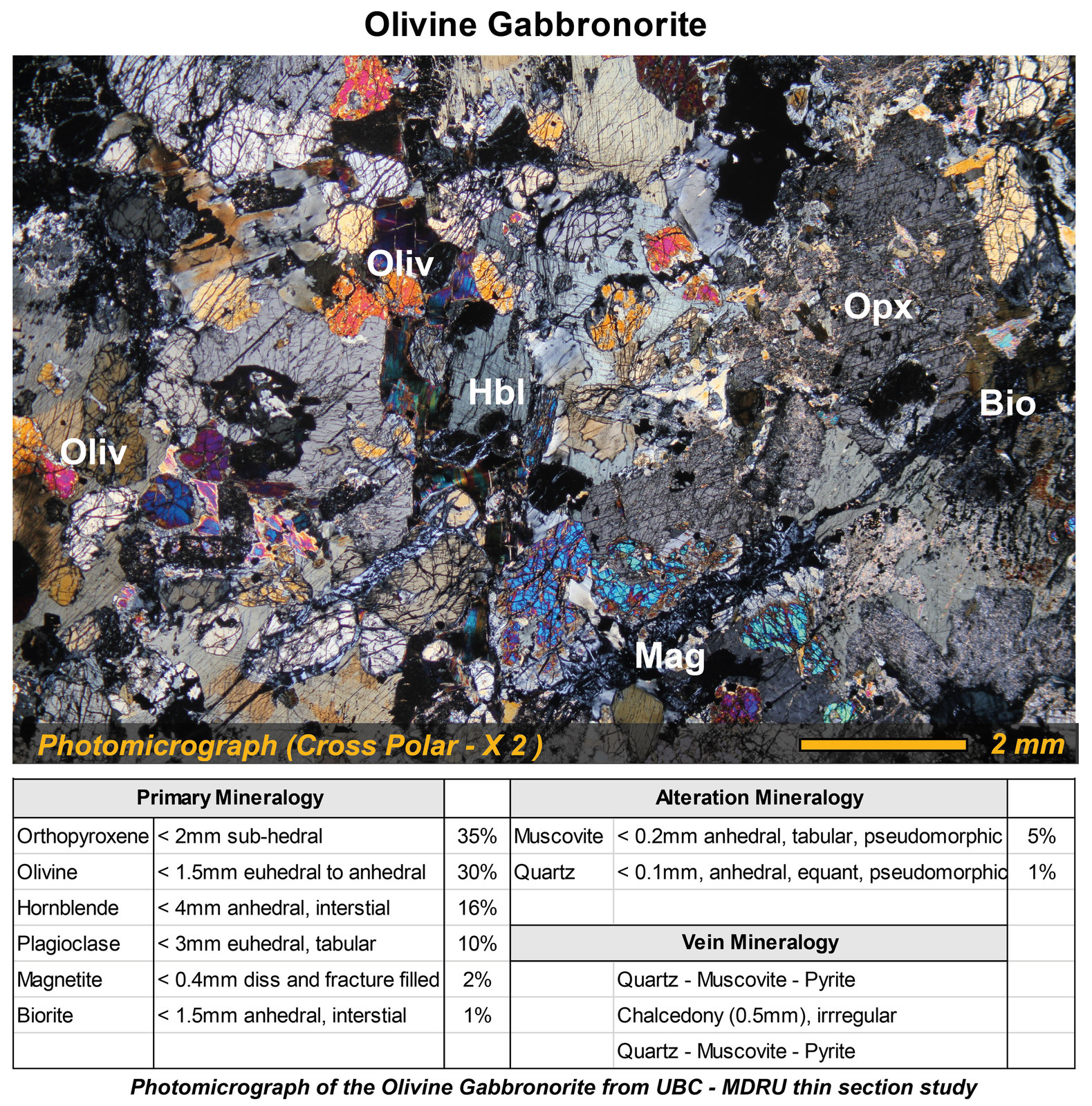 Photomicrograph of the Olivine Gabbronorite from UBC - MDRU thin section study