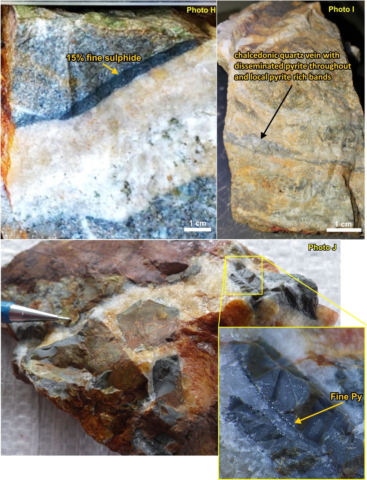Pyritic quartz veins and breccias