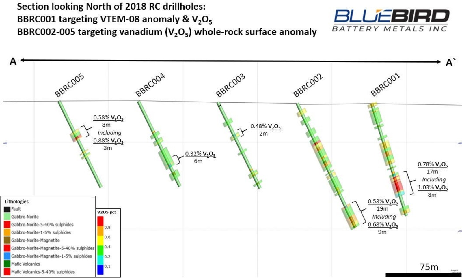 Figure 2: Canegrass Property – VTEM-08 Drill Section Looking North