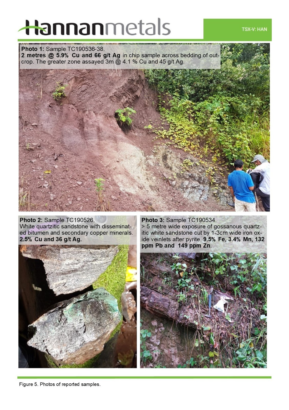 Figure 5.  Photos of reported samples.