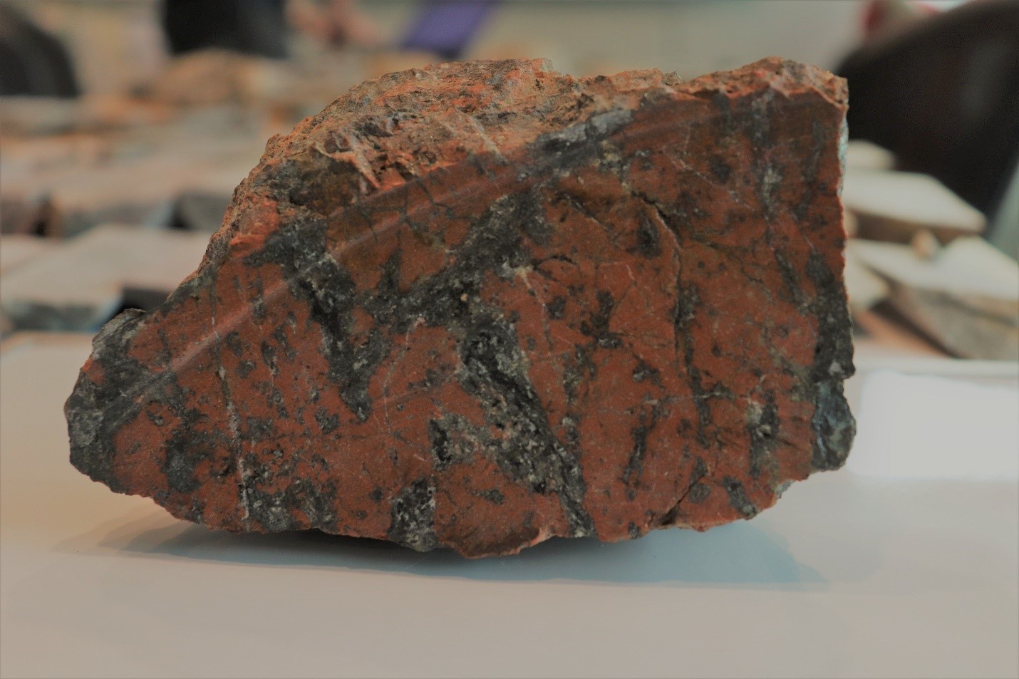 Figure 2: Sample from BRCH19-01; K-Feldspar altered rock with chalcopyrite stockwork. This separate mineralization event from Figure 1 averaged 0.46% Cu, 0.53 g/t Au, 10.33 g/t Ag, and 0.32% Zn over the final 7.00 metres where winter conditions shut down sampling. This new showing is ~350m south of drill pad “A-1” at Burgundy Ridge. (CNW Group/Crystal Lake Mining Corporation)