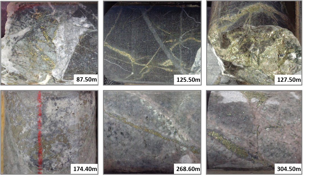 Plate 1: Core photographs from drill hole 18-ESP-025, which intersected 387 metres grading 0.57% Cu and 0.27 g/t Au.  Mineralization was intersected at surface and is open at depth. Photographs show intense potassic alteration; quartz-chalcopyrite vein stockwork, K-feldspar and secondary biotite. (CNW Group/Libero Copper & Gold Corporation.)