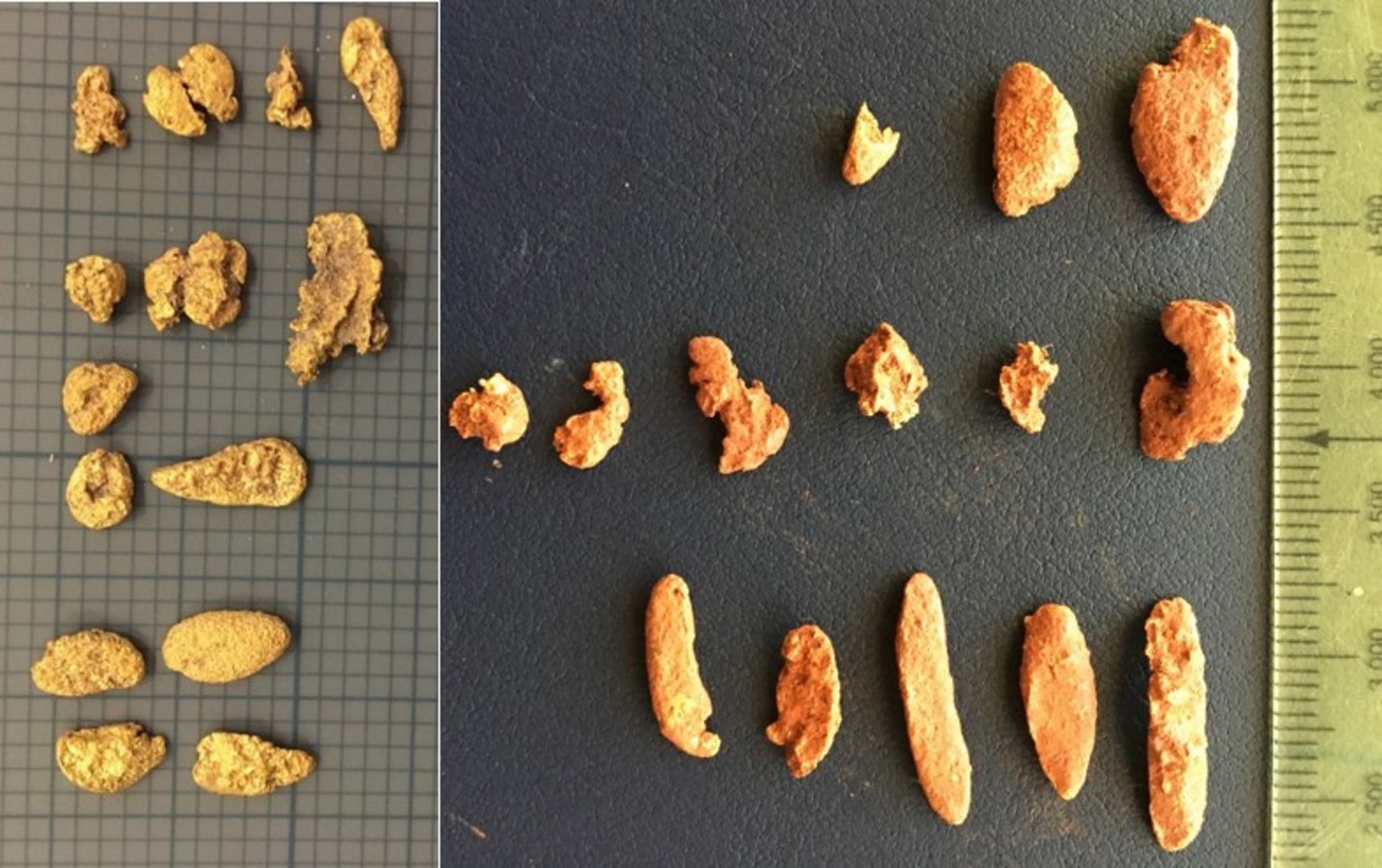 Figure 2: Mt Roe Project: Recently Collected Pitted ‘Melon Seed’ Gold Nuggets from Conglomerate Area.