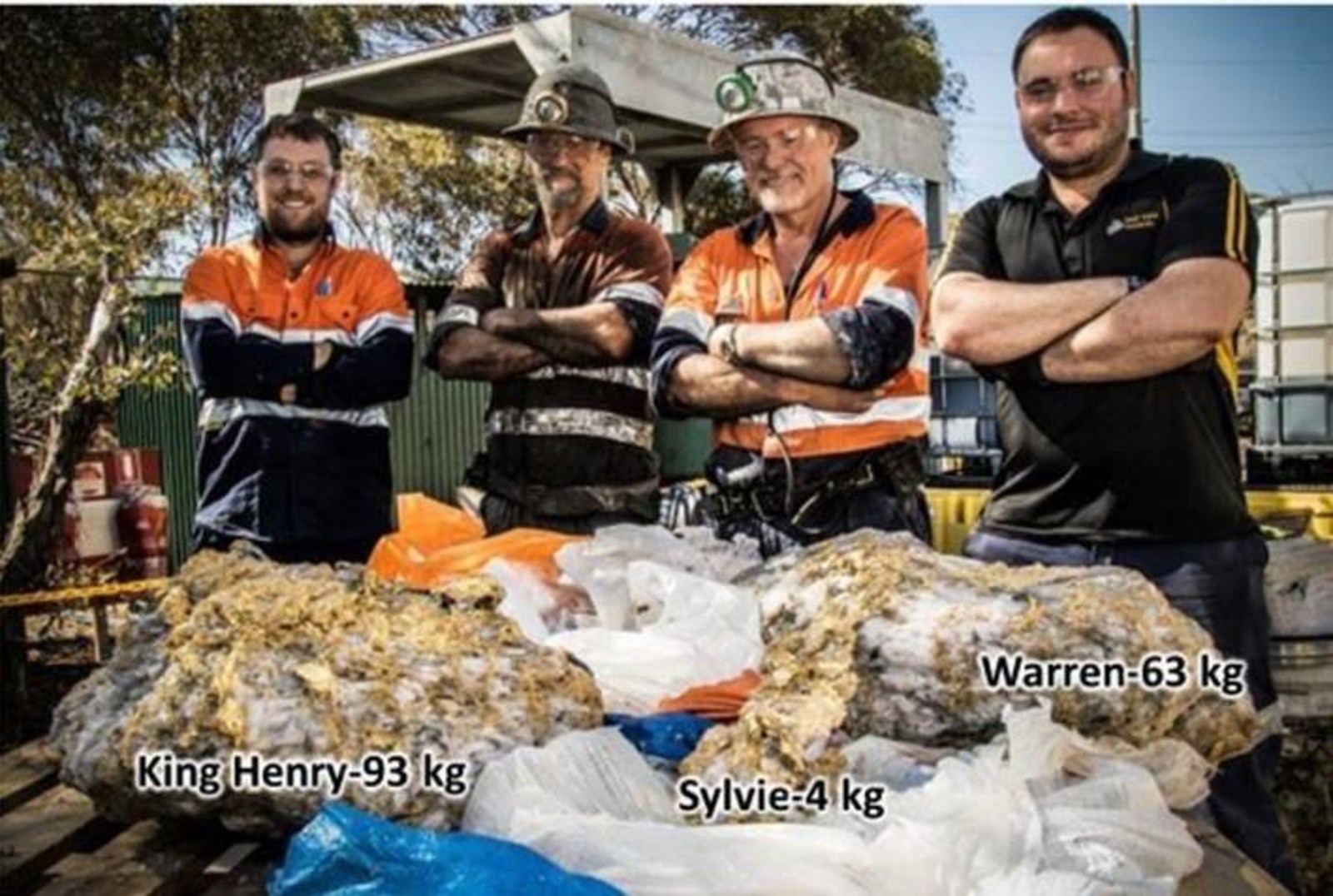 Fig. 5: Beta Hunt Team with King Henry, Warren and Sylvie gold specimen stones