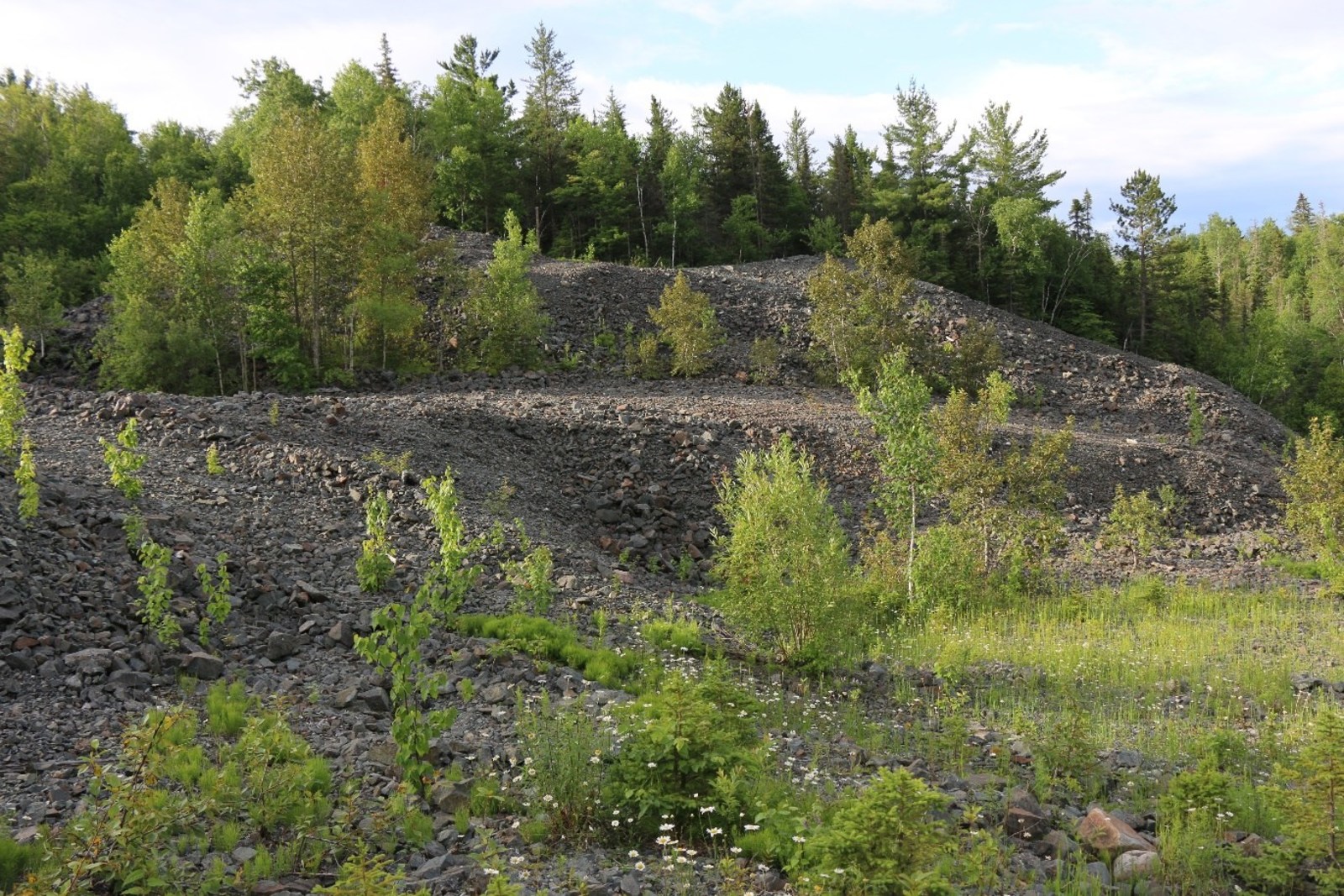 Image 1. Muckpile material at Keeley mine.