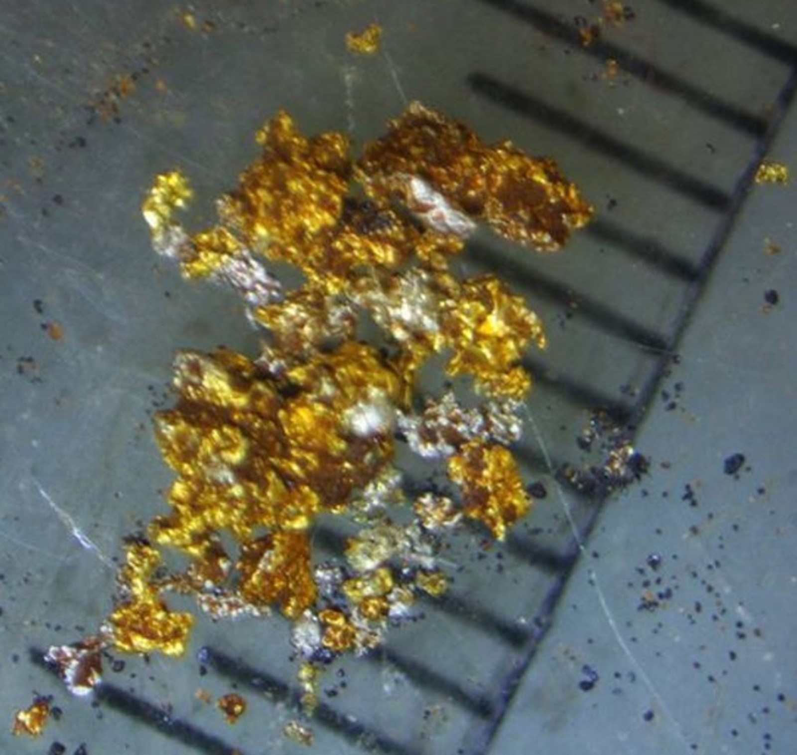 Figure 2: Fine gold discovered at surface