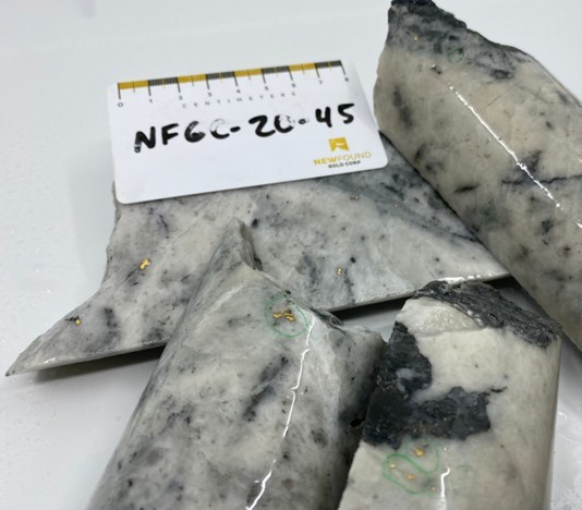 Figure 2.  Example gold mineralization from hole NFGC-20-45 (CNW Group/New Found Gold Corp.)