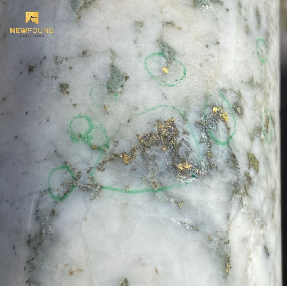 Figure 2. Example gold mineralization in Keats hole NFGC-20-28
(note this is not intended to be representative of the gold mineralization in this hole) (CNW Group/New Found Gold Corp.)