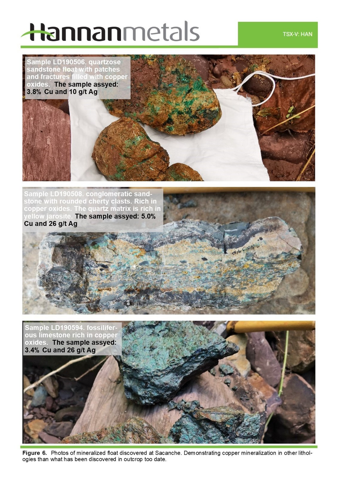 Figure 6. Photos of mineralized float discovered at Sacanche. Demonstrating copper mineralization in other lithologies than what has been discovered in outcrop to date.