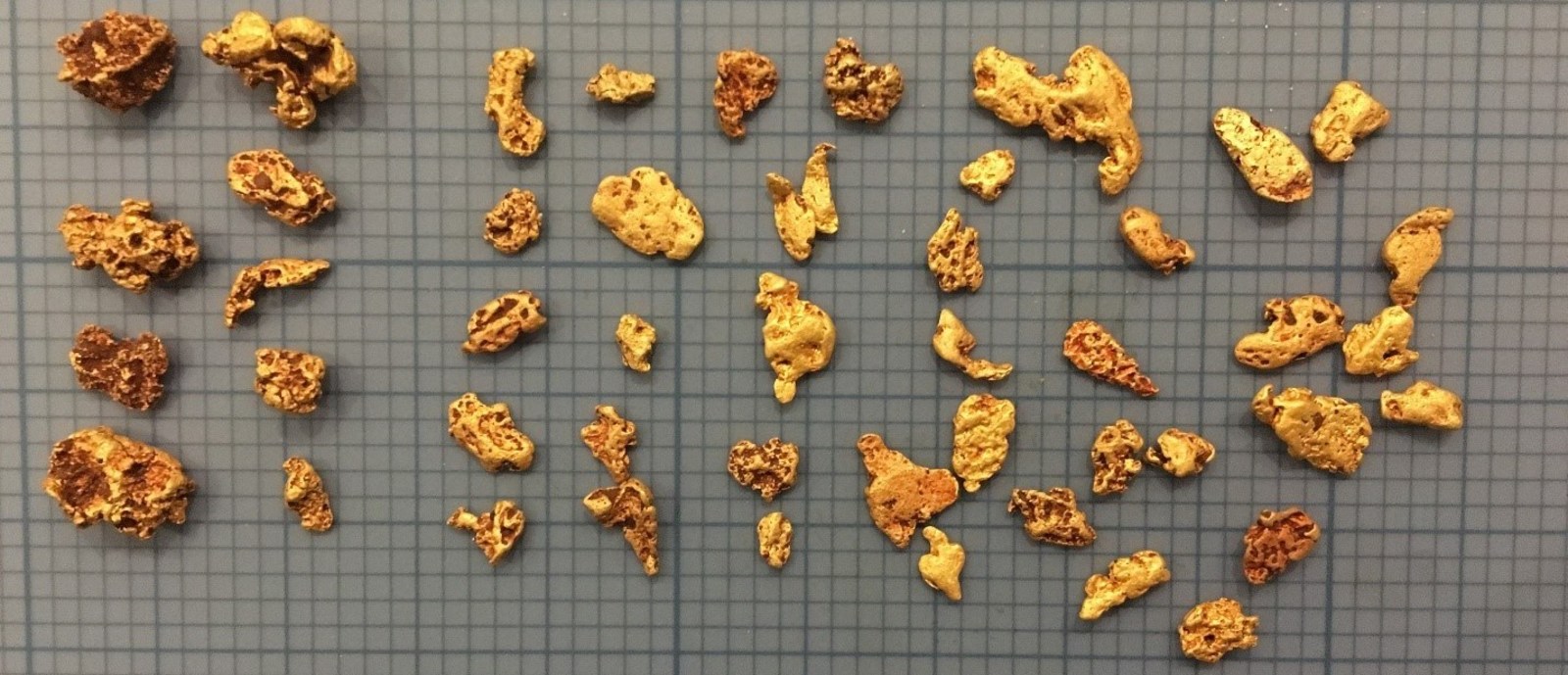 Figure 4: Gold Nuggets Discovered from the Prinsep Tenements.