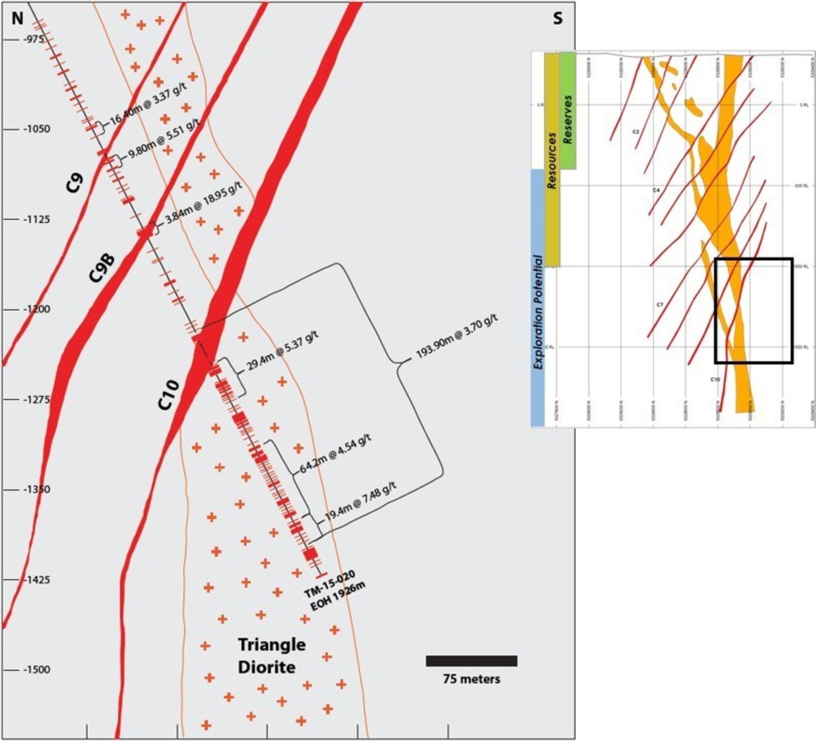 Figure 1: North-south cross section through the lower part of the Triangle Deposit, showing the position of the new vein network zone relative to the C9 – C10 shear zones and the lower Triangle diorite plug. Red crosslines along drillhole trace represent density of quartz-tourmaline-carbonate veins.