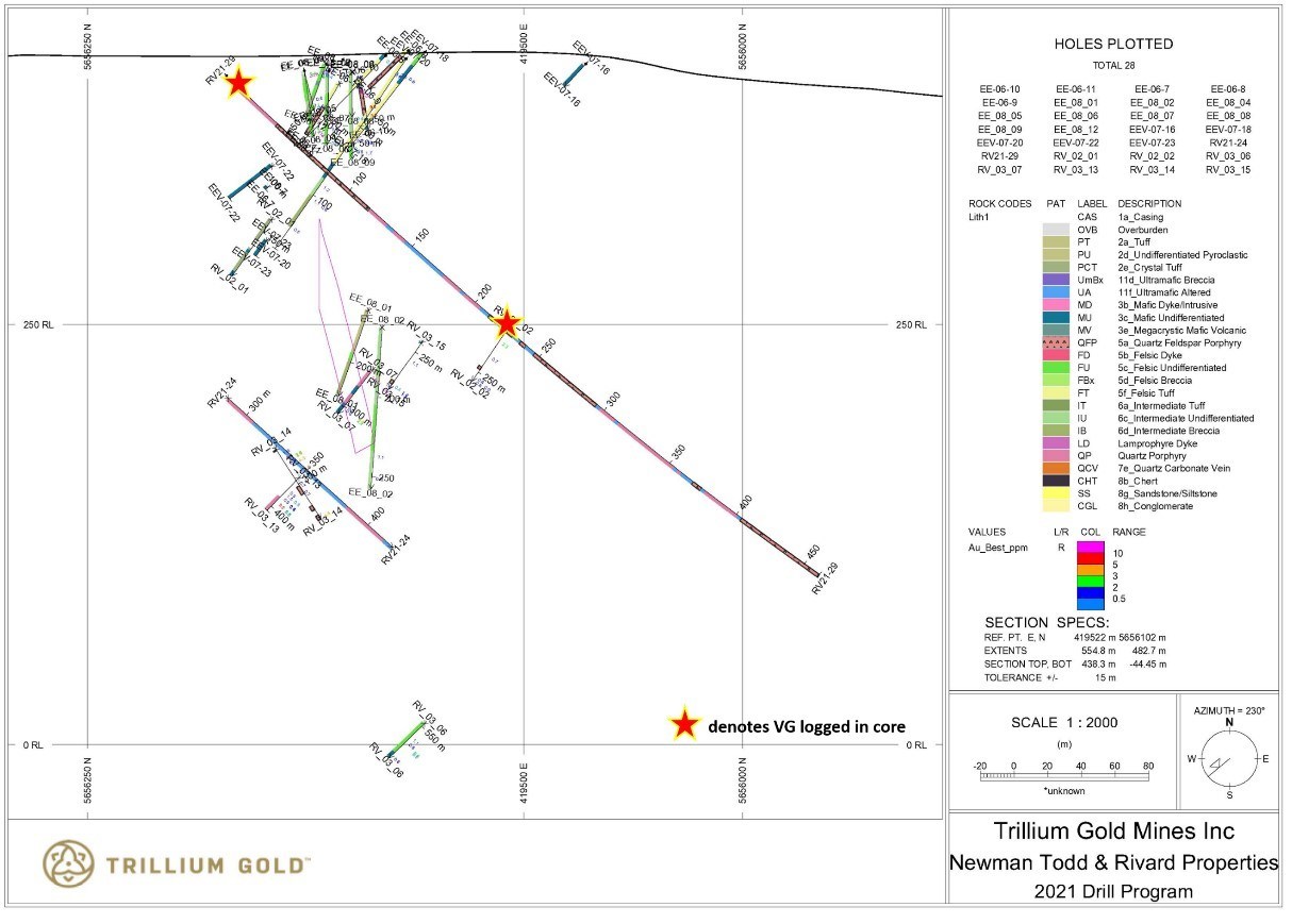Figure 8:  Section showing drillhole RV21-29 (CNW Group/Trillium Gold Mines Inc.)