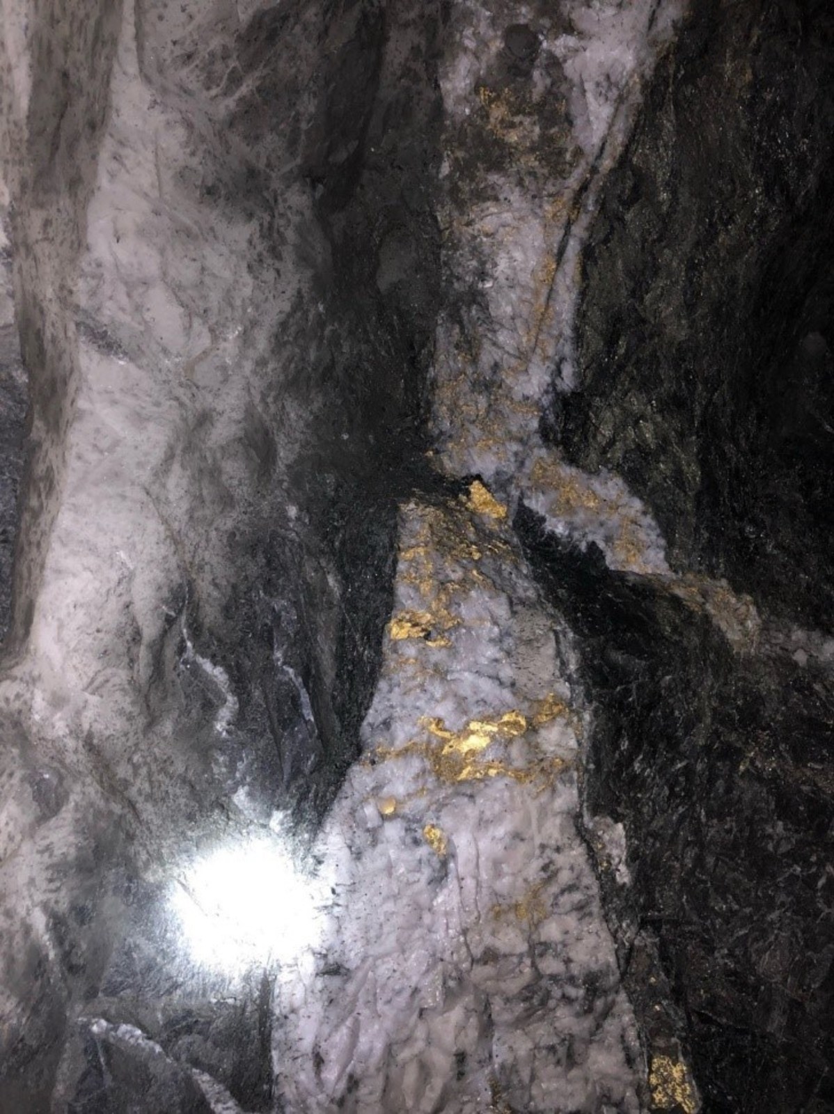 Figure 1: Portion of left face of the Fathers Day Vein discovery at the Beta Hunt Mine showing a quartz vein with significant visible coarse gold