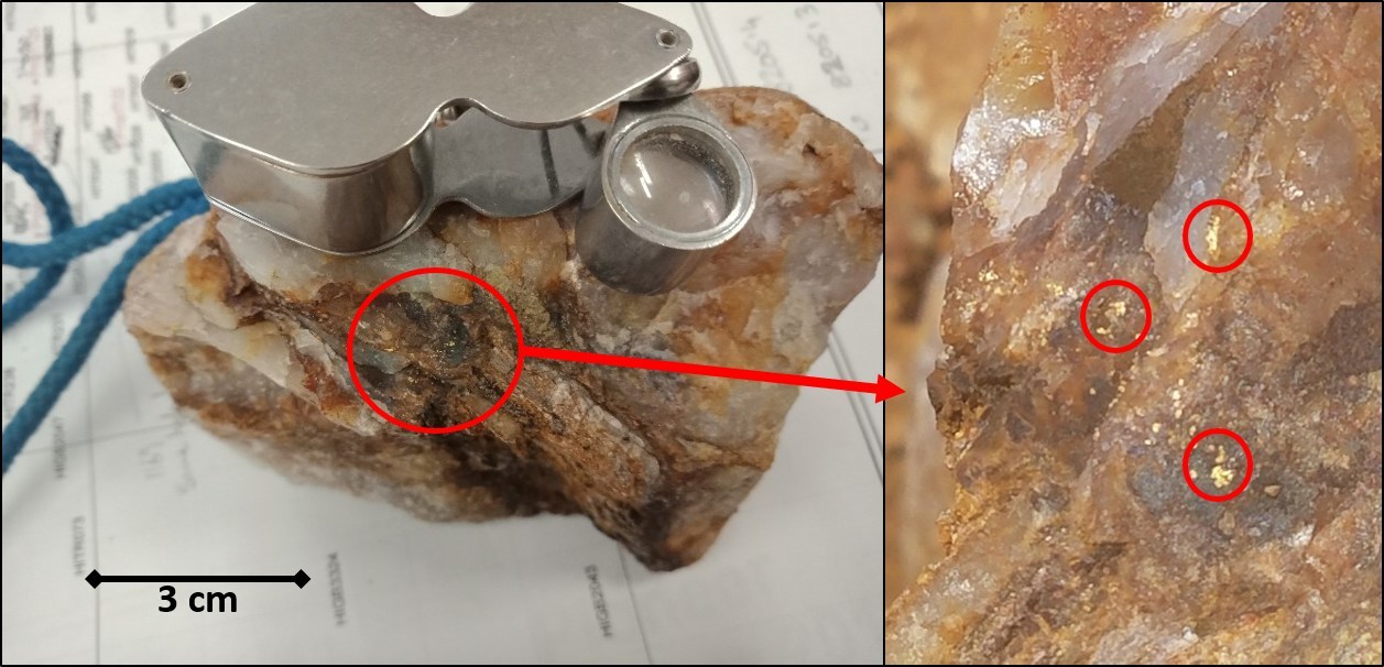 Figure 2: Visible gold circled in red in surface sample at Hidden Secret (CNW Group/RNC Minerals)