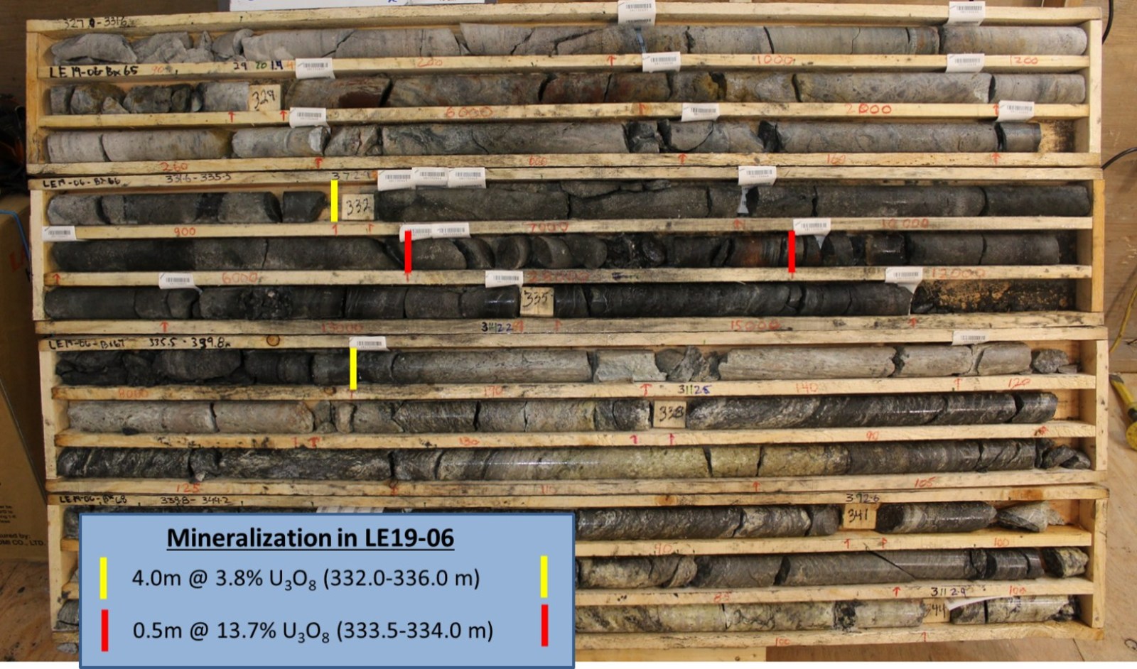 Figure 4 – Core Photo of Mineralization in Drill Hole LE19-06