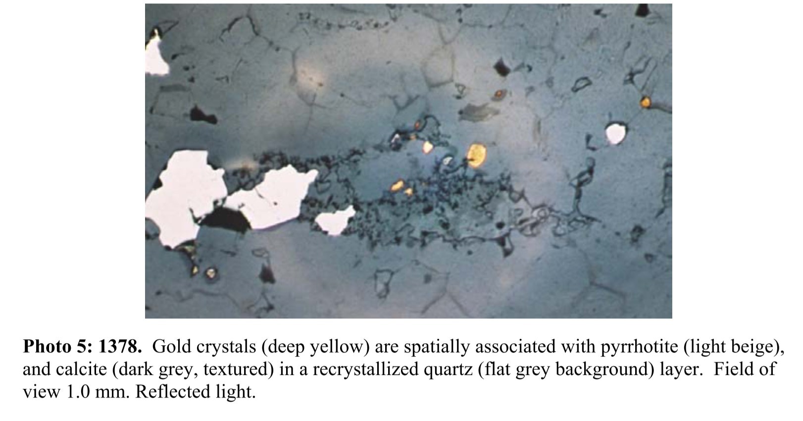 Figure 3: Petrographic report completed in 2004 by Fronteer Gold Corp. showing free gold (yellow) from the Dixie Limb zone (Ross, 2004). (CNW Group/Great Bear Resources Ltd.)