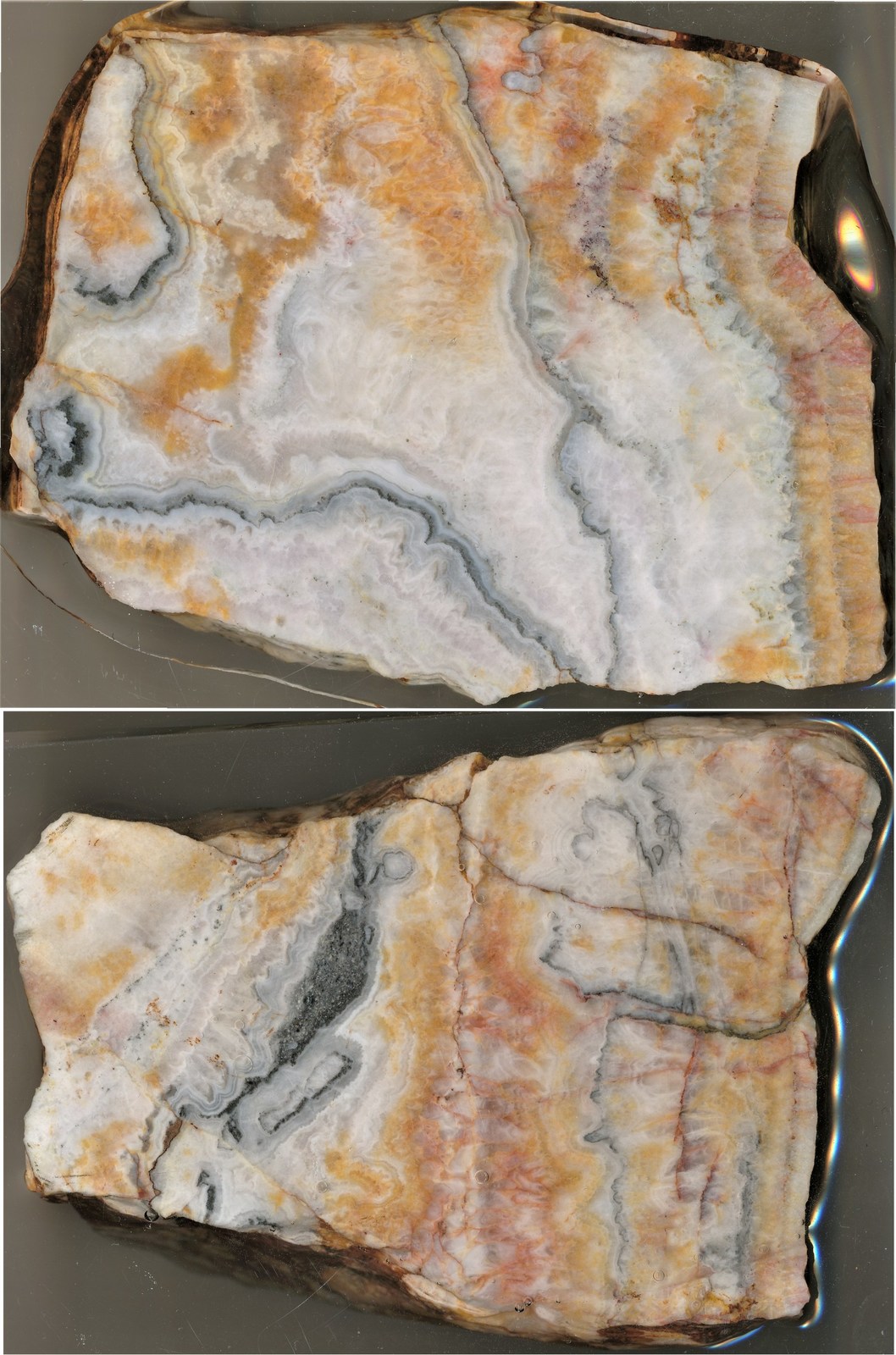 Black and dark grey "ginguro" bands from recently collected epithermal quartz vein float samples from Shot Rock.