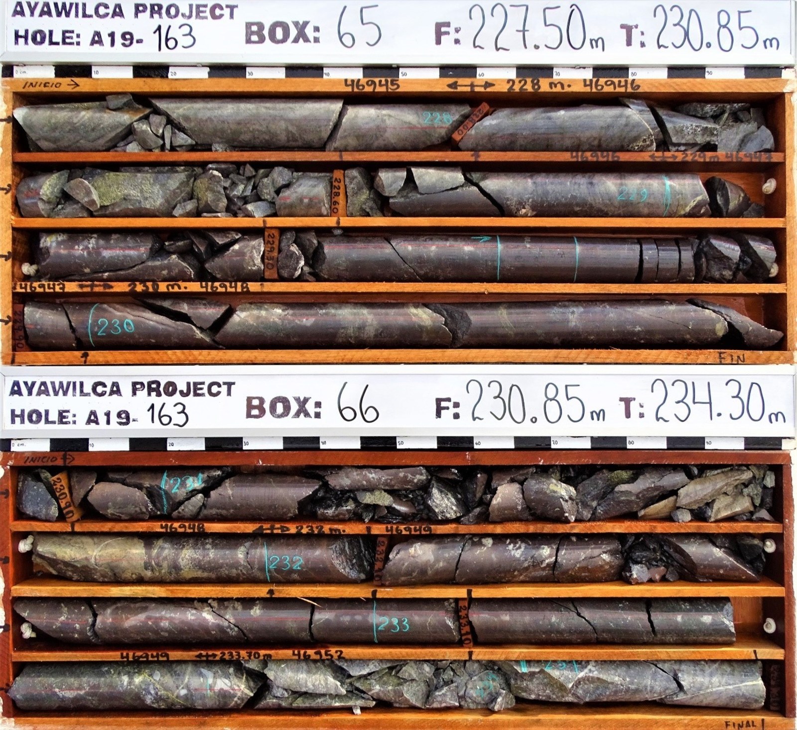 Figure 2.  Drill core of high grade interval grading 32.6% zinc, 0.02% lead, 20 g/t silver. Sphalerite is noted by the reddish colour