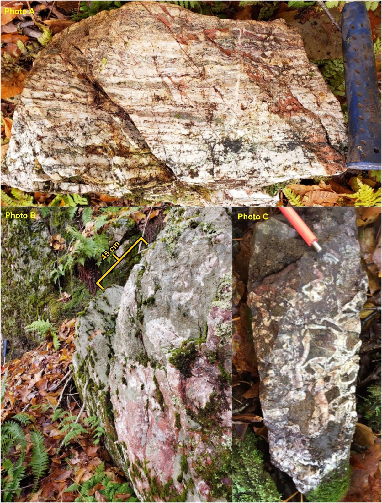 Large banded and brecciated quartz veins