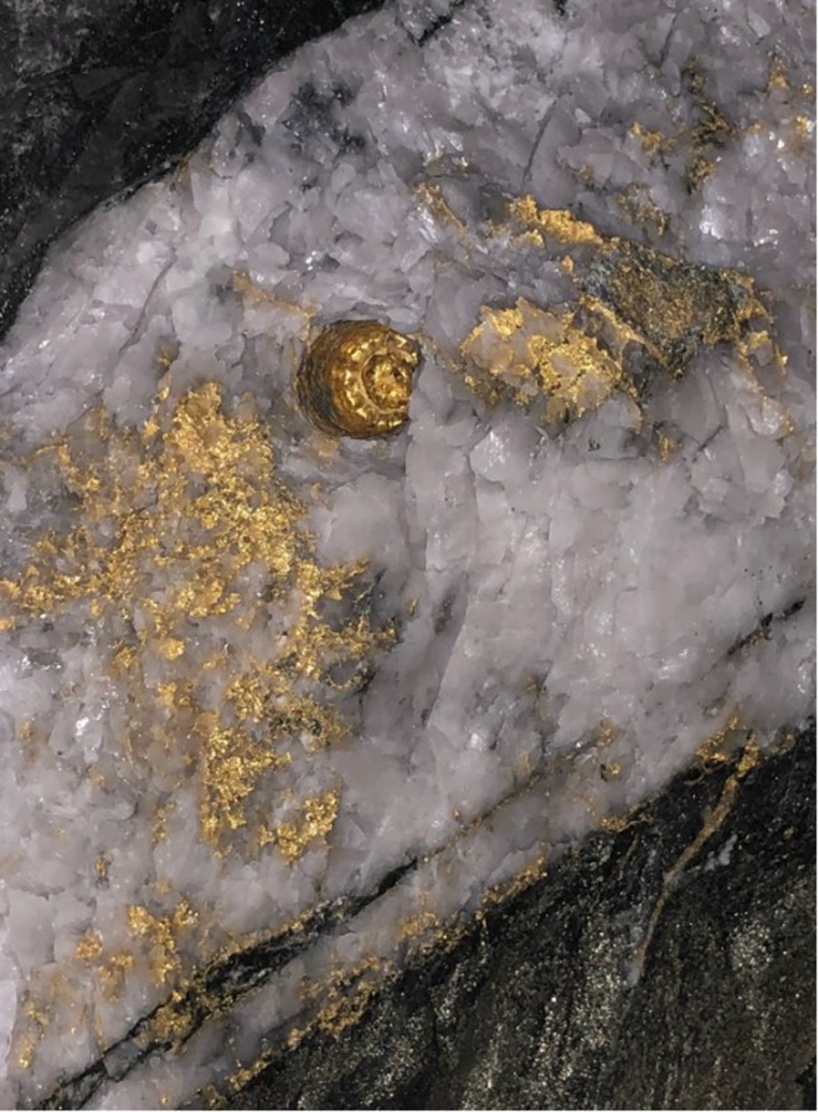 Figure 2: Close-up picture of the current back of the Fathers Day Vein discovery at the Beta Hunt Mine showing significant visible coarse gold